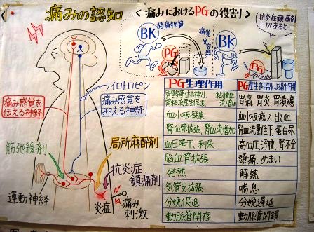 ���ɍ܂̕׋�