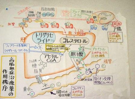 ���җl�����ɕ׋�������Ă��܂�